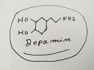 Dopamin - sind Hormone Schuld an Prokrastination?
